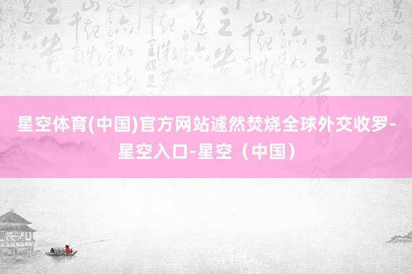 星空体育(中国)官方网站遽然焚烧全球外交收罗-星空入口-星空（中国）
