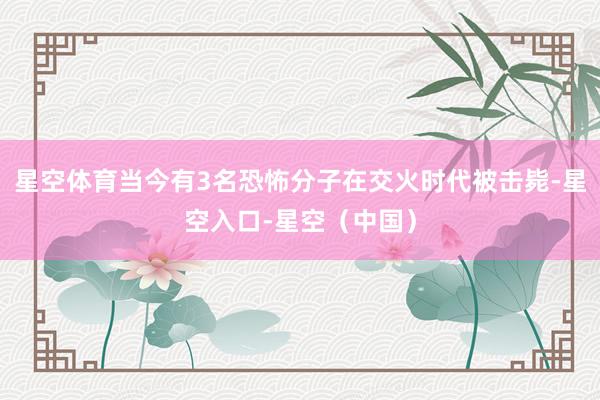星空体育当今有3名恐怖分子在交火时代被击毙-星空入口-星空（中国）