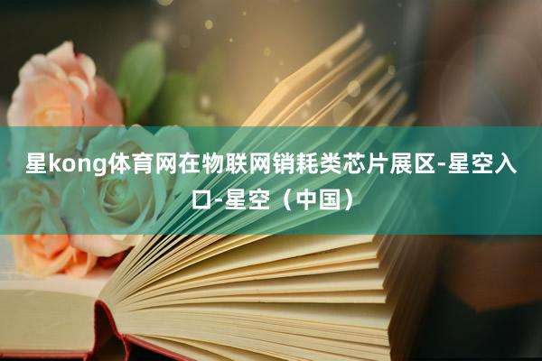 星kong体育网　　在物联网销耗类芯片展区-星空入口-星空（中国）