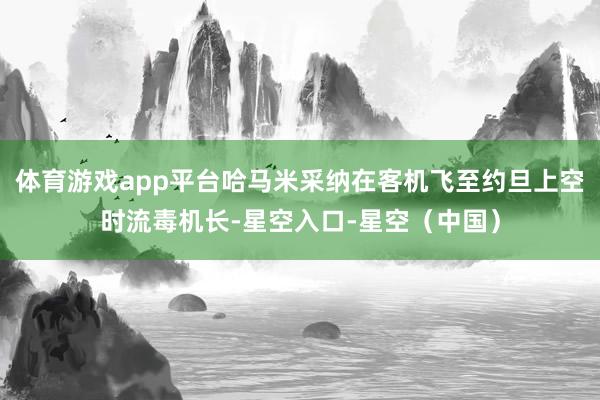 体育游戏app平台哈马米采纳在客机飞至约旦上空时流毒机长-星空入口-星空（中国）