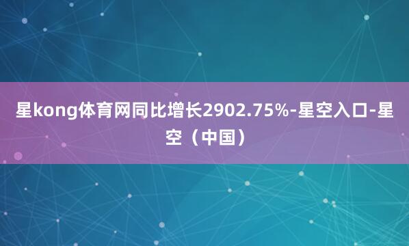 星kong体育网同比增长2902.75%-星空入口-星空(中国)