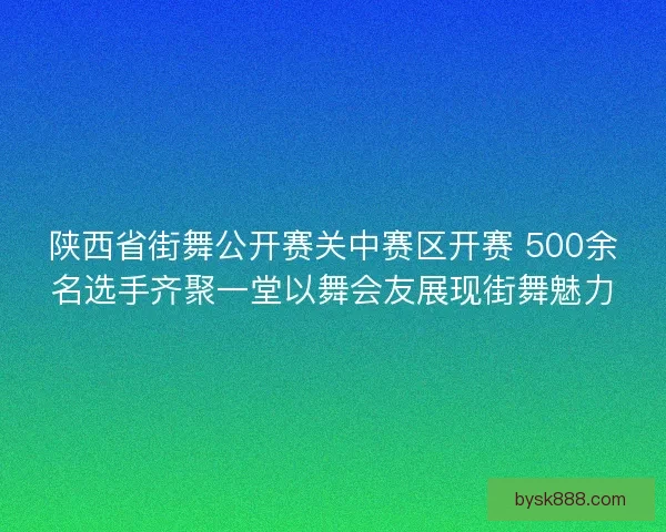 陕西省街舞公开赛关中赛区开赛 500余名选手齐聚一堂以舞会友展现街舞魅力